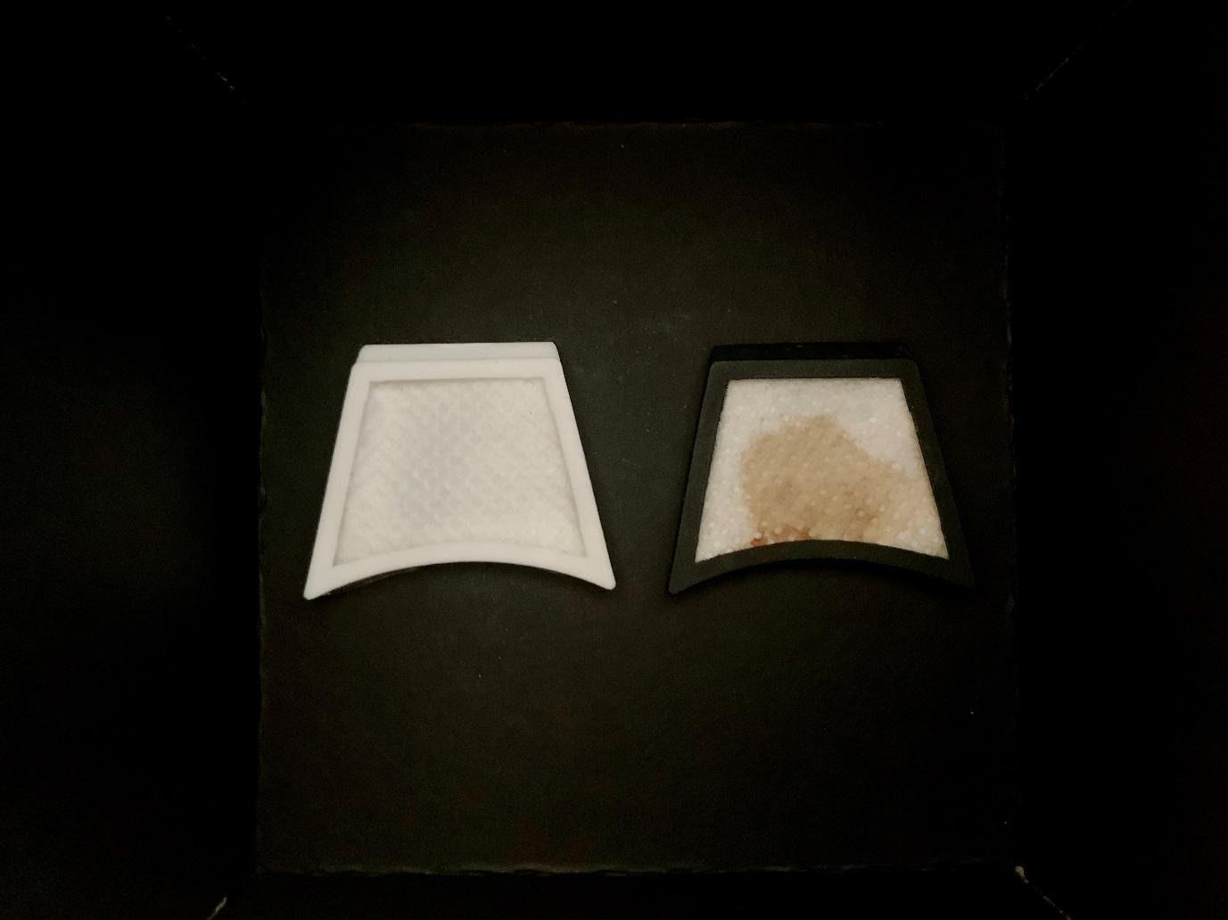 Clean Nosy filter versus filter worn for 2 weeks.